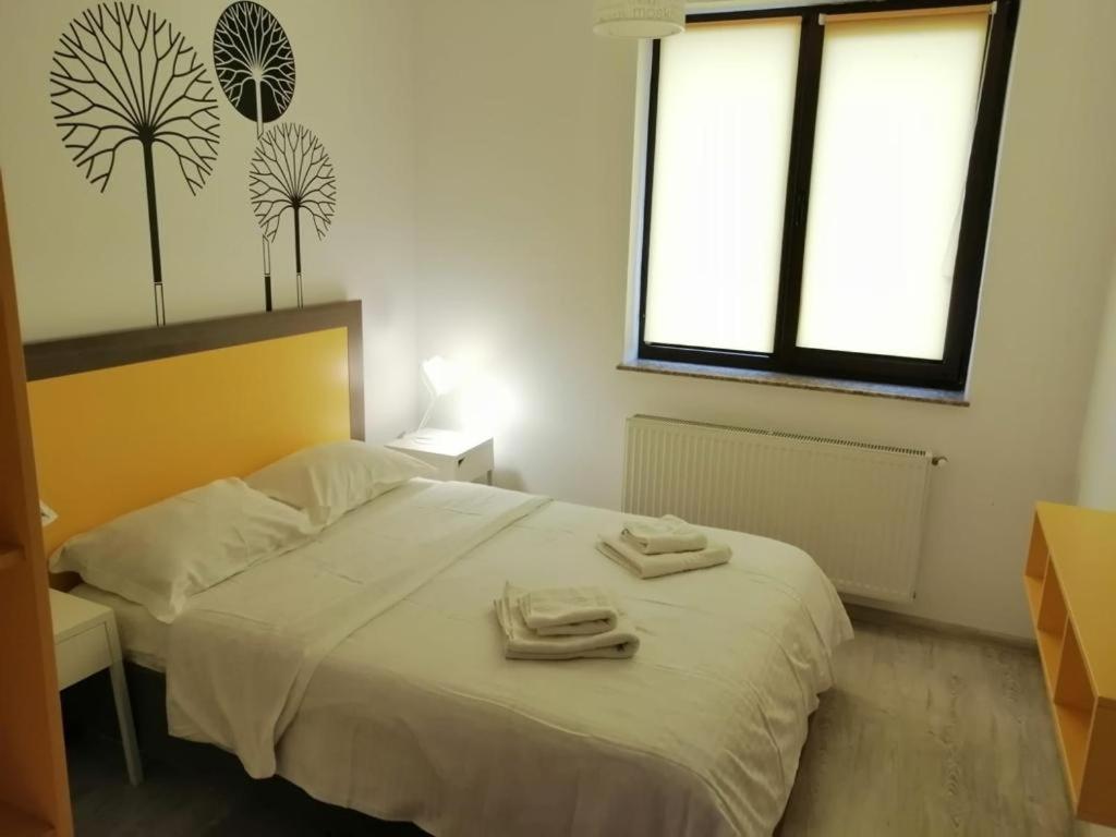 Cozy Accommodation Central City - Jassy Zewnętrze zdjęcie